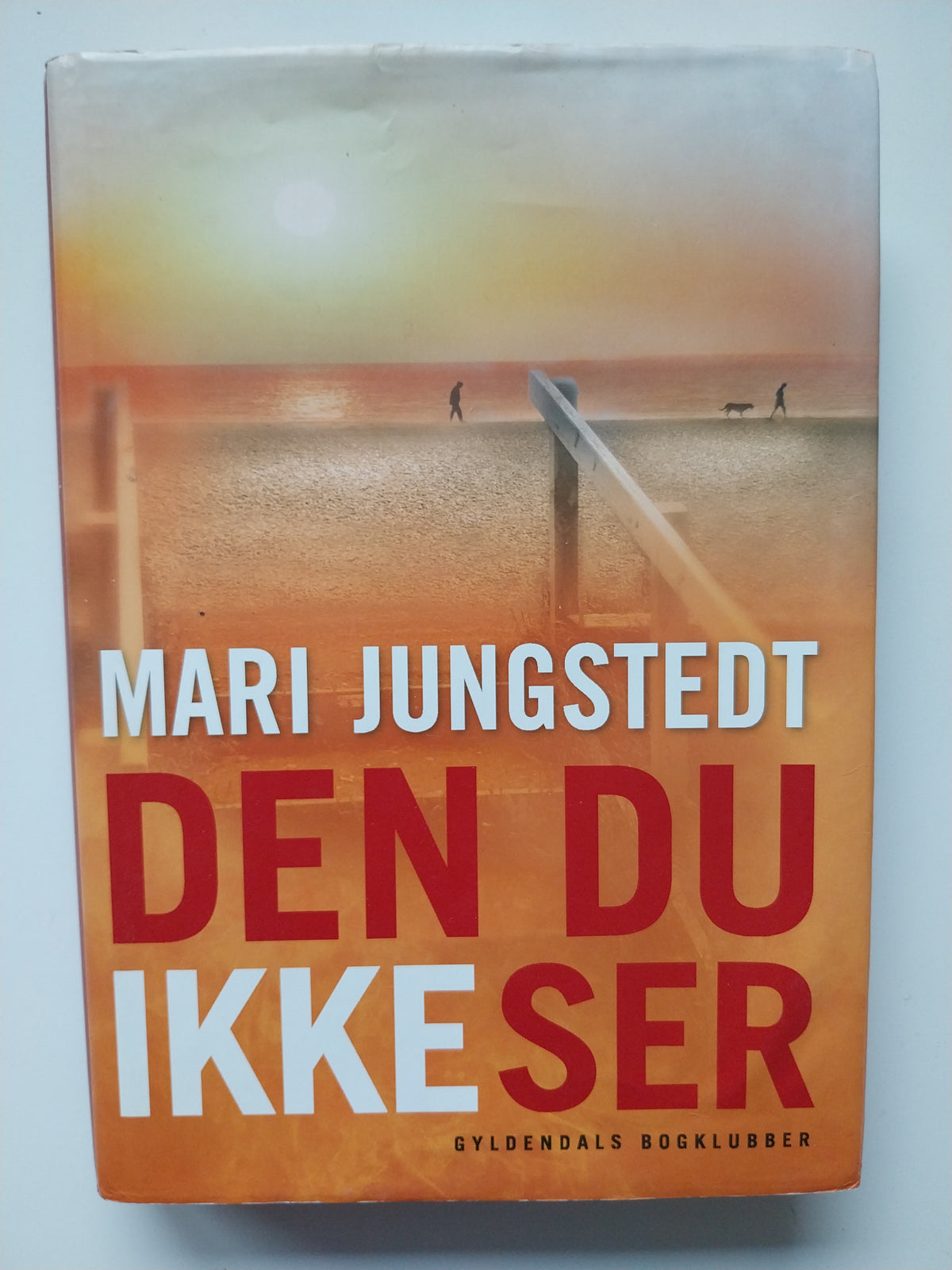 Mari Jungstedt - Den du ikke ser