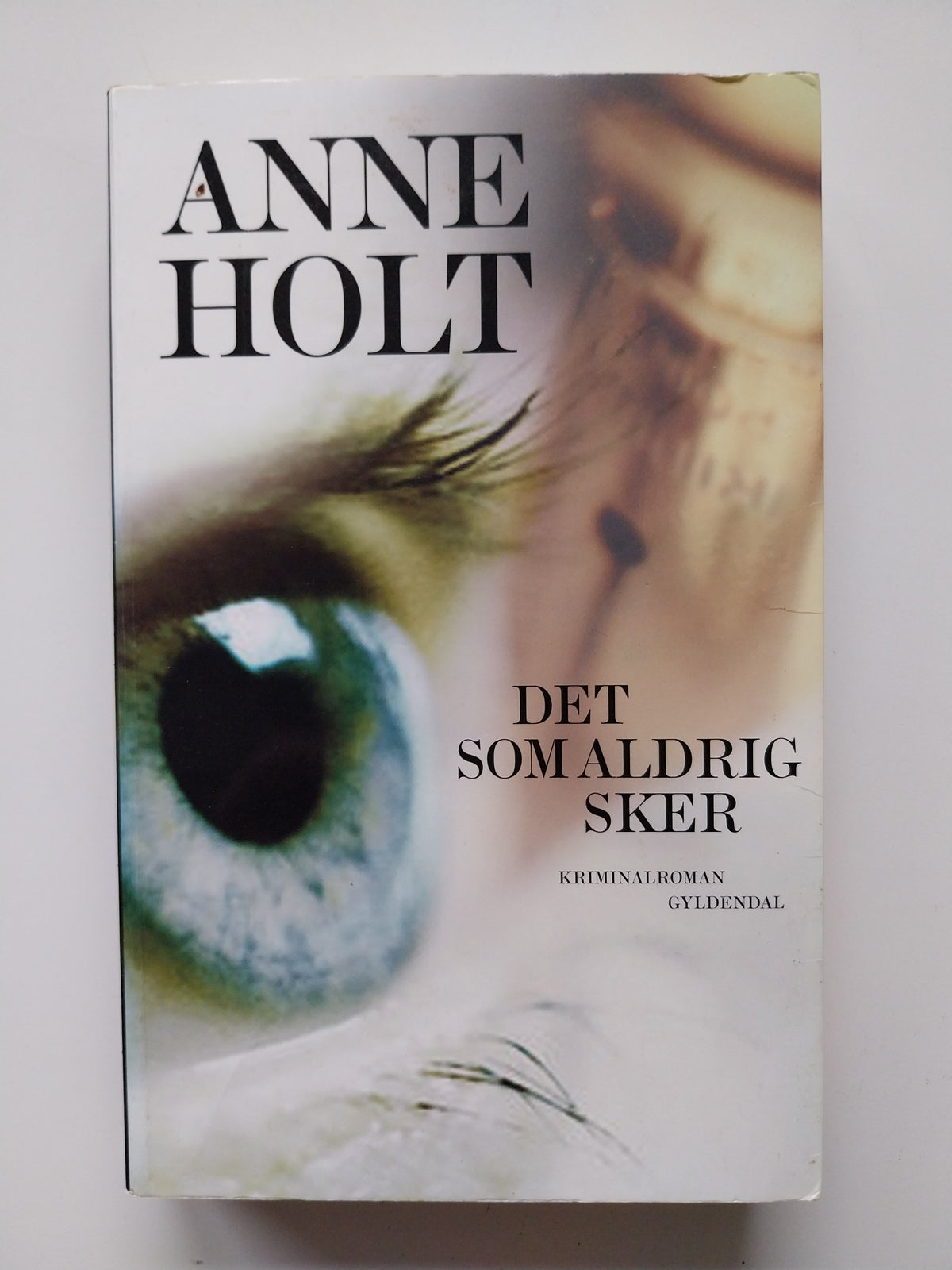 Anne Holt - Det som aldrig sker