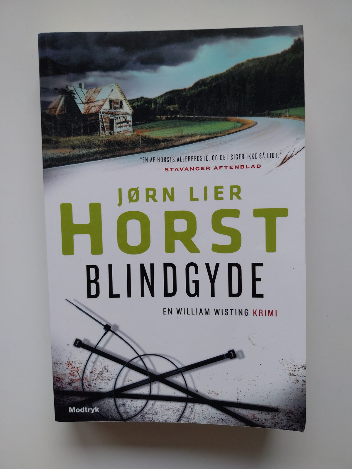 Jørn Lier Horst - Blindgyde